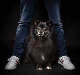 Pet  portraits with a difference at Cormac Byrne Photogrpahy, Limerick, Ireland.  